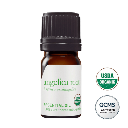 Olejek eteryczny Arcydzięgiel korzeń, (Angelica archangelica) Naturalny, organiczny, 100% czysty, z certyfikatem BIO, olejek z arcydzięgla