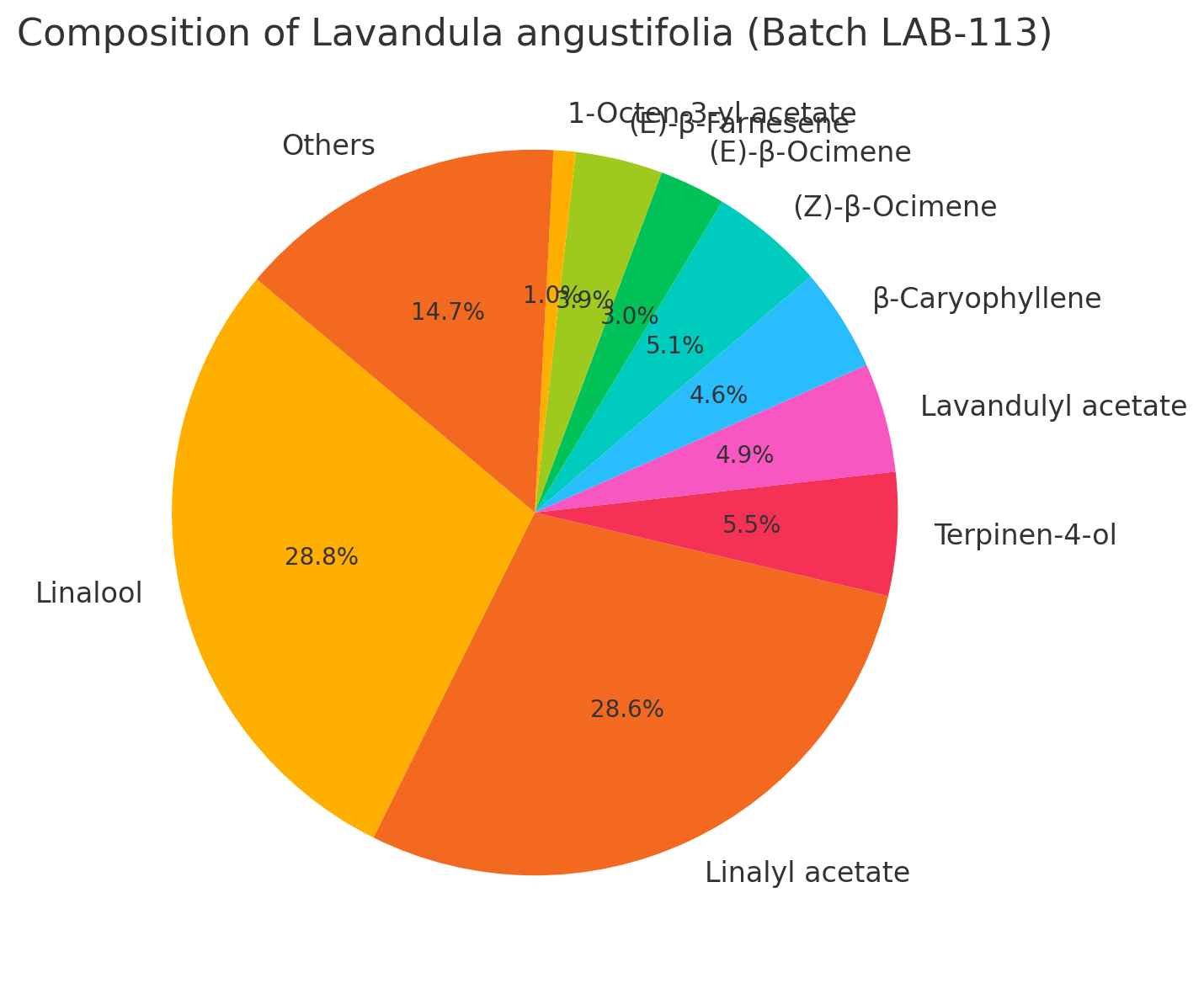 Olejek eteryczny lawendowy (Lavandula angustifolia) Bułgaria 100% naturalny Olejek eteryczny lawendowy (Lavandula angustifolia) Bułgaria 100% naturalny