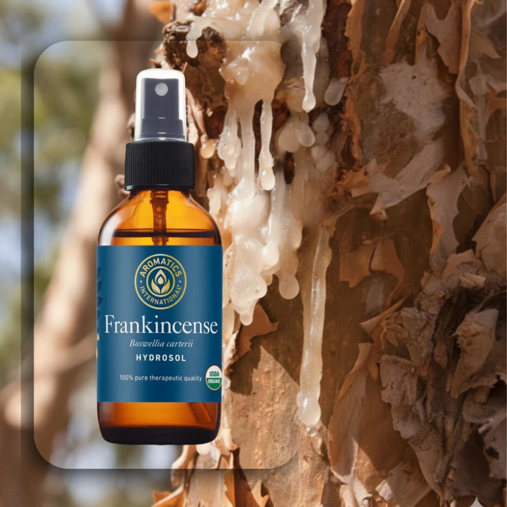 Boswellia carterii Hydrolat – Bio, therapeutische Qualität Boswellia carterii Hydrolat – Bio, therapeutische Qualität