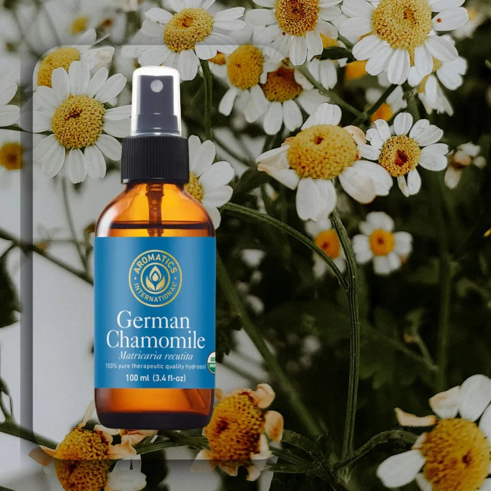 Deutsche Kamille (Matricaria recutita) – Bio, therapeutische Qualität Deutsche Kamille (Matricaria recutita) – Bio, therapeutische Qualität