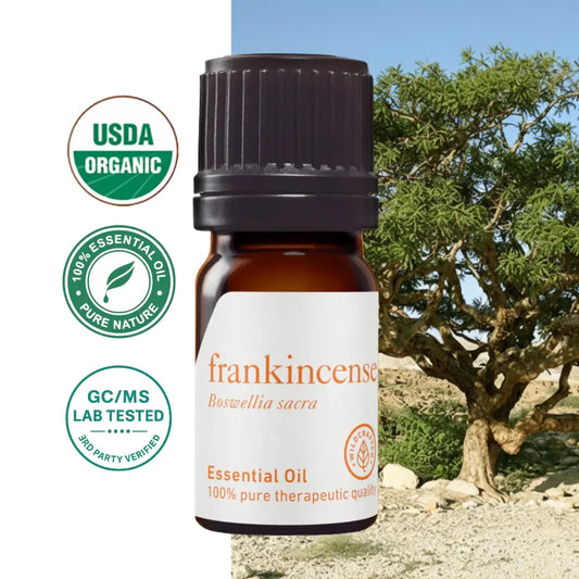 Olejek eteryczny kadzidłowy z Kadzidłowca Frankincense (Boswellia sacra) – terapeutyczna jakość