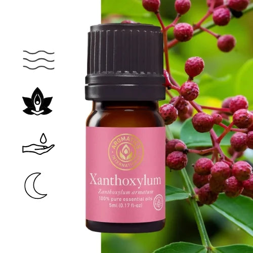 Ätherisches Öl aus Sichuanpfefferfrüchten (Zanthoxylum armatum) – natürlich Ätherisches Öl aus Sichuanpfefferfrüchten (Zanthoxylum armatum) – natürlich