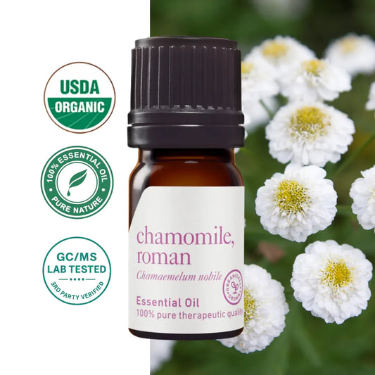 Chamomile Roman Essential Oil (Chamaemelum nobile)