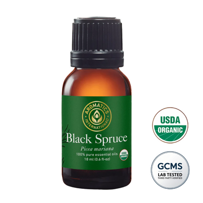 Black Spruce (Picea mariana) Organic Essential Oil