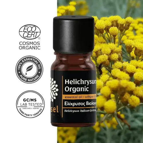 Olejek eteryczny z kocanki włoskiej korsykańskiej (Helichrysum italicum) – organiczny