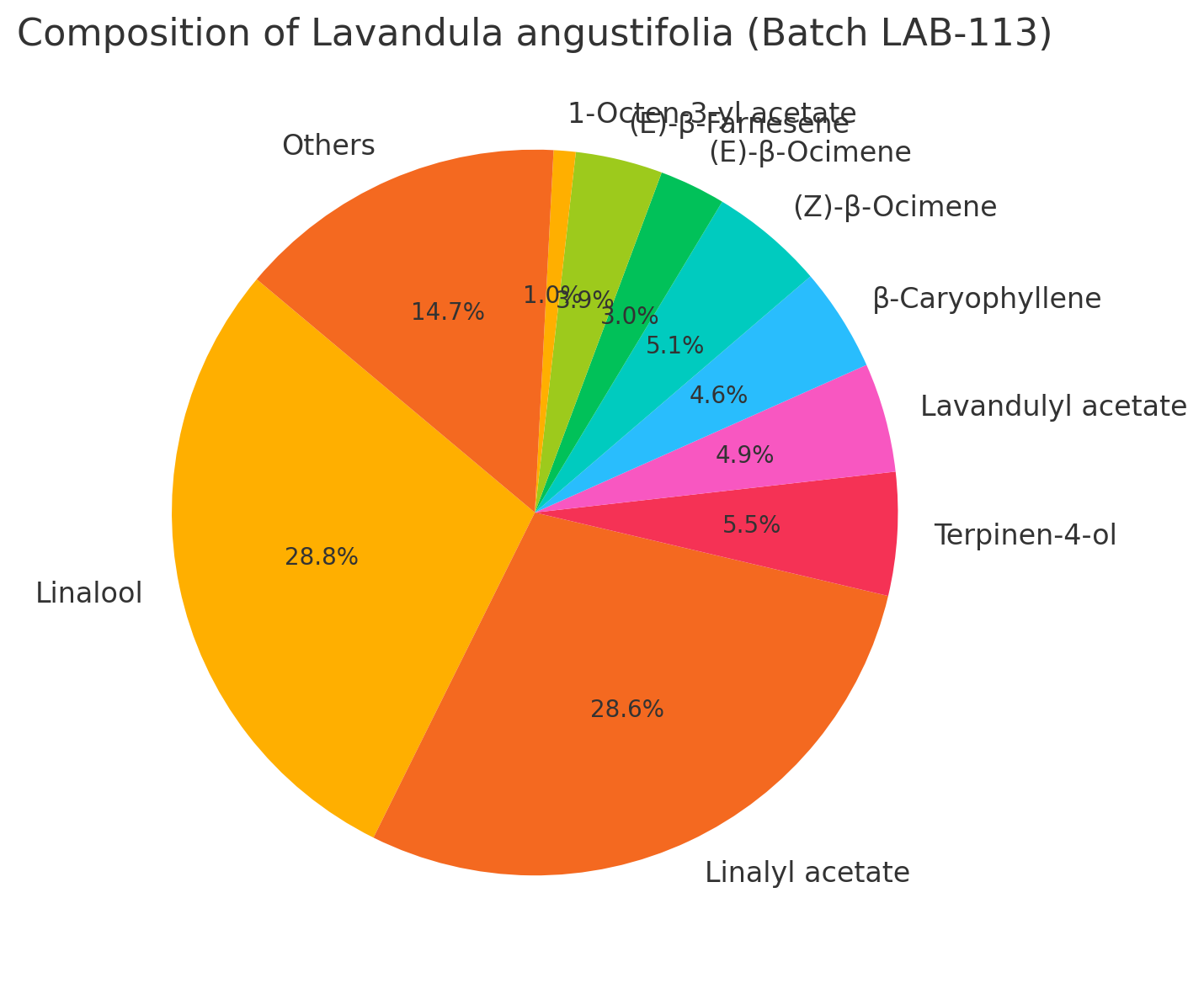 Olejek eteryczny Lawendowy (Lavandula angustifolia) Bułgaria 100% naturalny