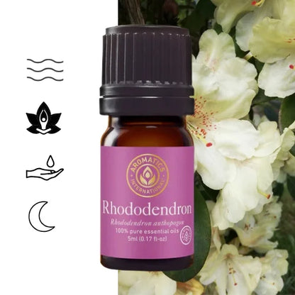 Olejek eteryczny Rododendron (Rhododendron anthopogon) – 100% naturalny, czysty