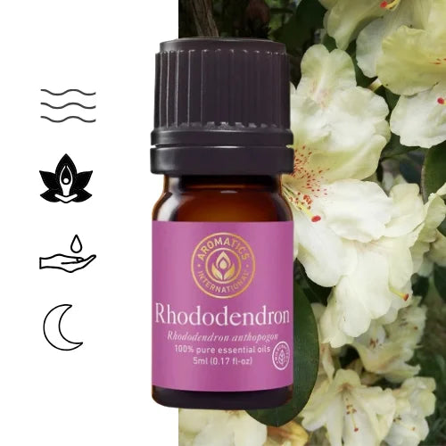 Olejek eteryczny Rododendron (Rhododendron anthopogon) – 100% naturalny, czysty