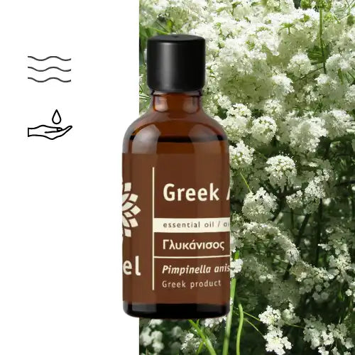 Anise Essential Oil (Pimpinella anisum) natural
