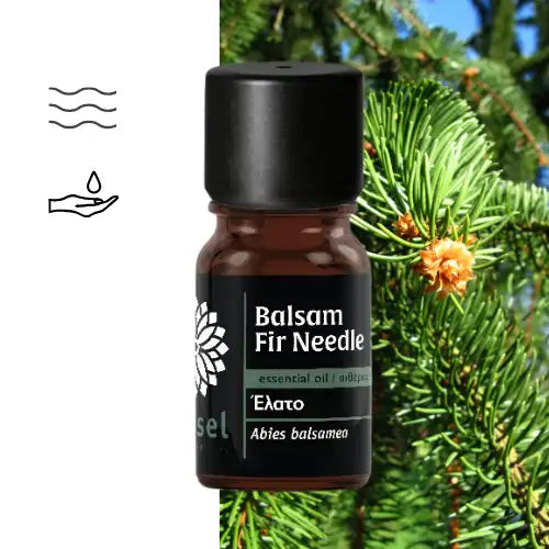 Olejek eteryczny z jodły balsamicznej łączy intensywną świeżość kanadyjskiego lasu z delikatną, balsamiczną miękkością. Aromat jest zielony, żywiczny i lekko cytrusowy, lekki, lotny, intensywnie aromatyczny i szybko rozprzestrzenia się w powietrzu.&nbsp;Odświeża, oczyszcza i aktywizuje – polecany przy zmęczeniu, przeciążeniu oraz potrzebie oczyszczenia atmosfery.