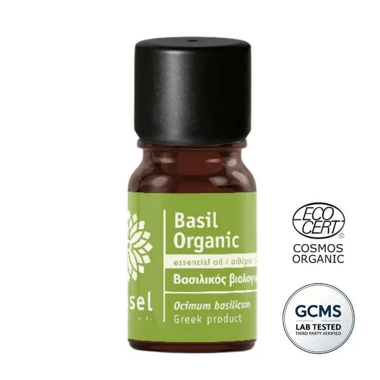 Olejek eteryczny Bazylia ct Linalol (Ocimum basilicum ct Linalool) organiczny