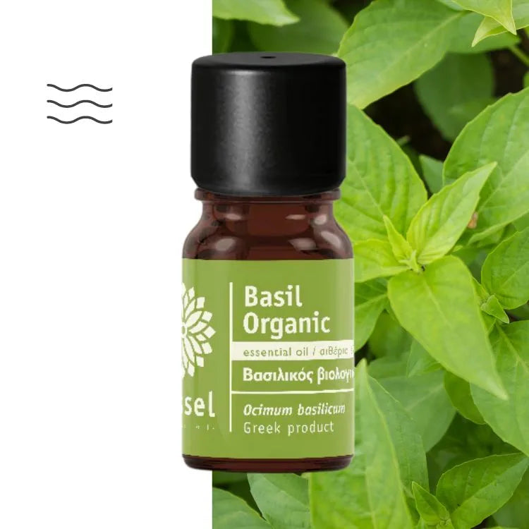 Olejek eteryczny Bazylia ct Linalol (Ocimum basilicum ct Linalool) organiczny