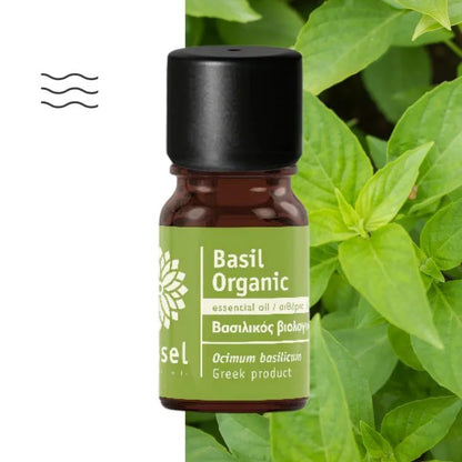 Olejek eteryczny Bazylia ct Linalol (Ocimum basilicum ct Linalool) organiczny