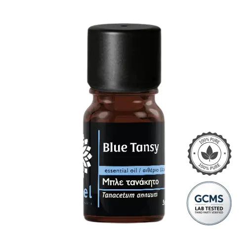 Wrotycz marokański Blue Tansy Naturalny natural essential oil blue