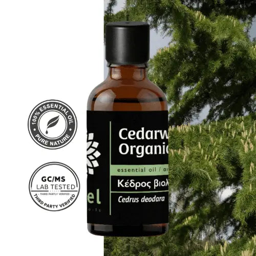 Olejek eteryczny z cedru himalajskiego Deodar (Cedrus deodara) 100% czysty