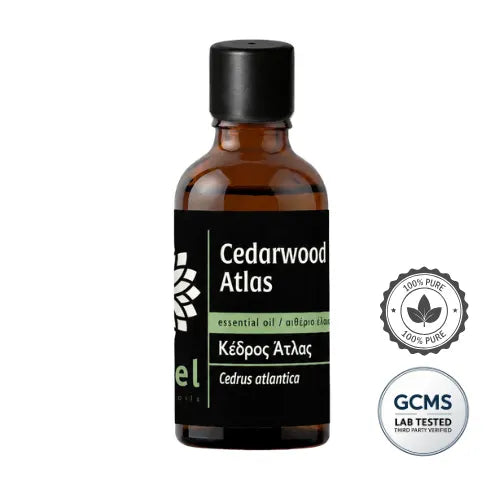 Olejek eteryczny z cedru atlaskiego Cedr Atlas (Cedrus atlantica) 100% czysty