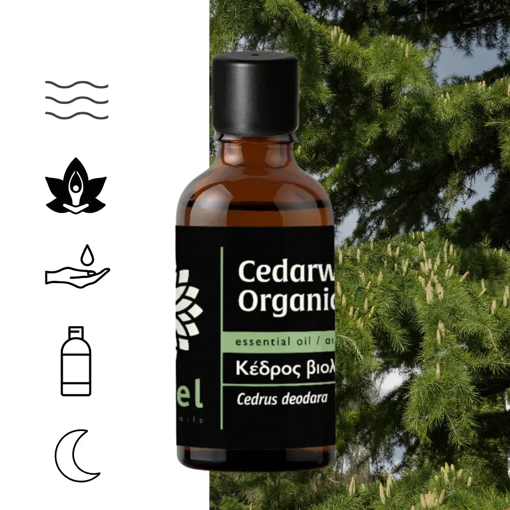 Olejek eteryczny z cedru himalajskiego Deodar (Cedrus deodara) głęboko uziemia, wycisza i stabilizuje emocje, tworząc spokojną, ochronną atmosferę sprzyjającą relaksowi, skupieniu i medytacji. Jego ciepły, drzewno-balsamiczny aromat z ziemistą i lekko korzenną nutą harmonizuje przestrzeń oraz może wspierać poczucie swobodniejszego, spokojniejszego oddechu.