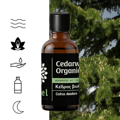 Olejek eteryczny z cedru himalajskiego Deodar (Cedrus deodara) głęboko uziemia, wycisza i stabilizuje emocje, tworząc spokojną, ochronną atmosferę sprzyjającą relaksowi, skupieniu i medytacji. Jego ciepły, drzewno-balsamiczny aromat z ziemistą i lekko korzenną nutą harmonizuje przestrzeń oraz może wspierać poczucie swobodniejszego, spokojniejszego oddechu.