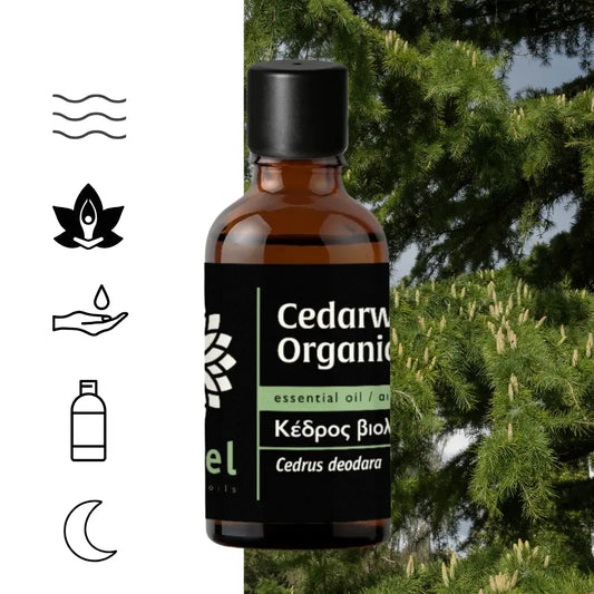 Olejek eteryczny z cedru himalajskiego Deodar (Cedrus deodara) głęboko uziemia, wycisza i stabilizuje emocje, tworząc spokojną, ochronną atmosferę sprzyjającą relaksowi, skupieniu i medytacji. Jego ciepły, drzewno-balsamiczny aromat z ziemistą i lekko korzenną nutą harmonizuje przestrzeń oraz może wspierać poczucie swobodniejszego, spokojniejszego oddechu.