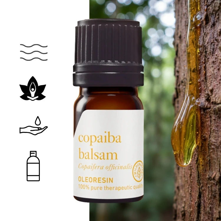 Copaiba Balsam Oleoresin (Copaifera officinalis) – therapeutic quality