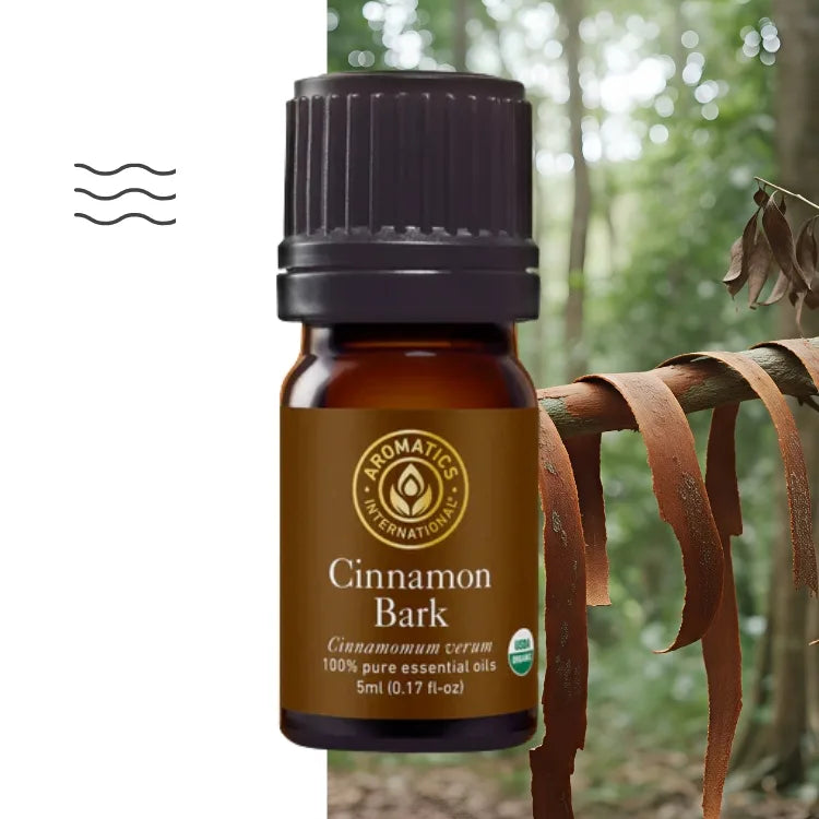 Ätherisches Zimtrindenöl – 100 % natürlich, rein