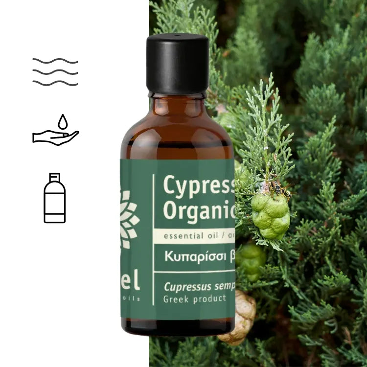 Olejek eteryczny Cyprysowy (Cupressus sempervirens L.) organiczny