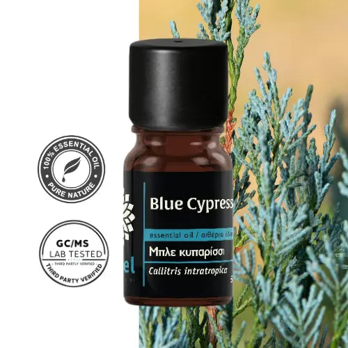 Olejek eteryczny z cyprysa niebieskiego Blue Cypress (Callitris intratropica) – naturalny