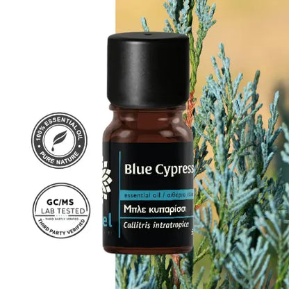 Olejek eteryczny z cyprysa niebieskiego Blue Cypress (Callitris intratropica) – naturalny
