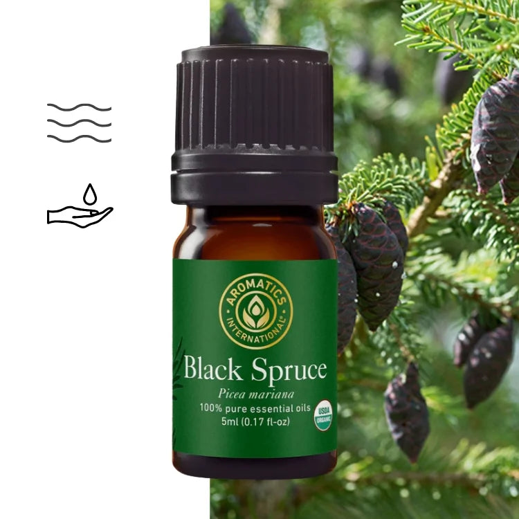 Schwarzfichte (Picea mariana) Bio-ätherisches Öl