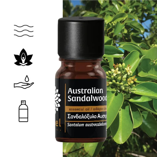 Olej z drzewa sandałowego