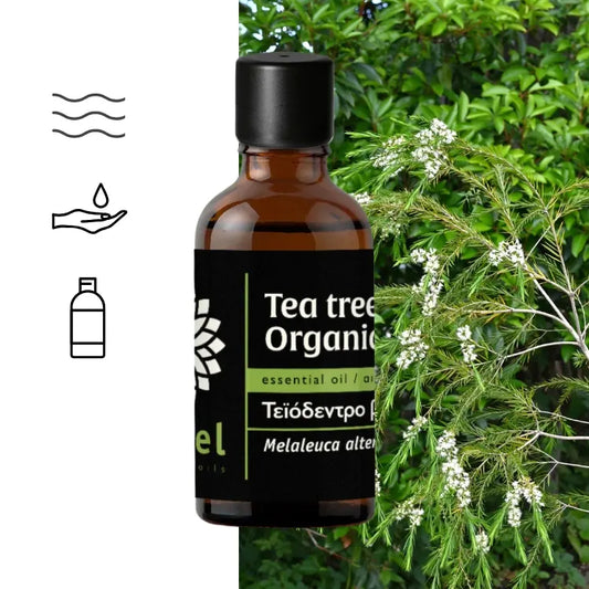 Olejek Eteryczny z Drzewa Herbacianego (Tea Tree) organiczny