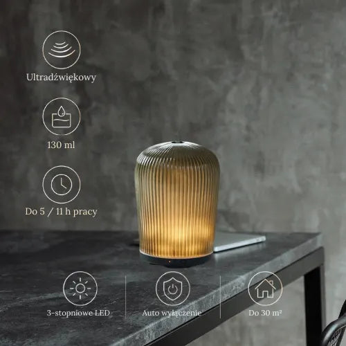 aroma diffuser, Dyfuzor zapachowy do domu na olejki eteryczne Cactus z timerem, wyłącznikiem i LED