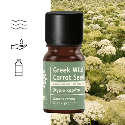 Natural Wild Carrot Seed Essential Oil (Daucus carota)