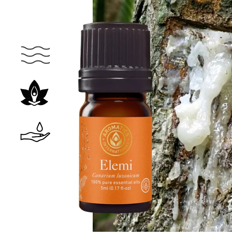 Elemi essential oil from resin (Canarium luzonicum) – 100% natural, pure
