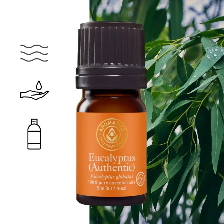 Ätherisches Eukalyptus-Globulus-Öl „Blue Gum“ – authentisch, biologisch, Vollspektrum