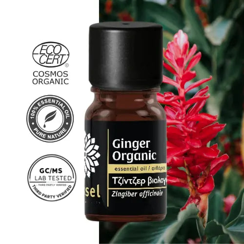 Olejek eteryczny imbirowy (Zingiber officinale) – organiczny