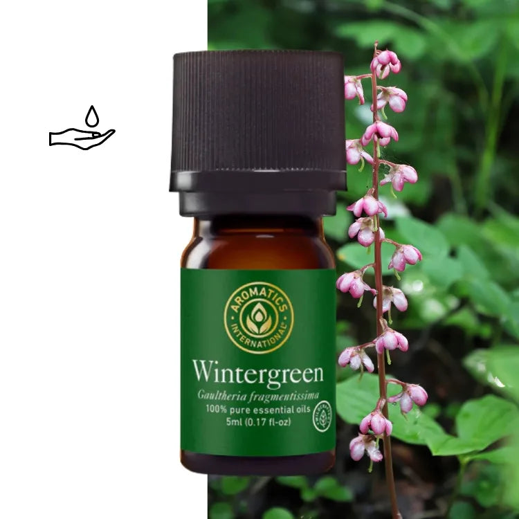 Organic Wintergreen Essential Oil (Gaultheria fragrantissima)
