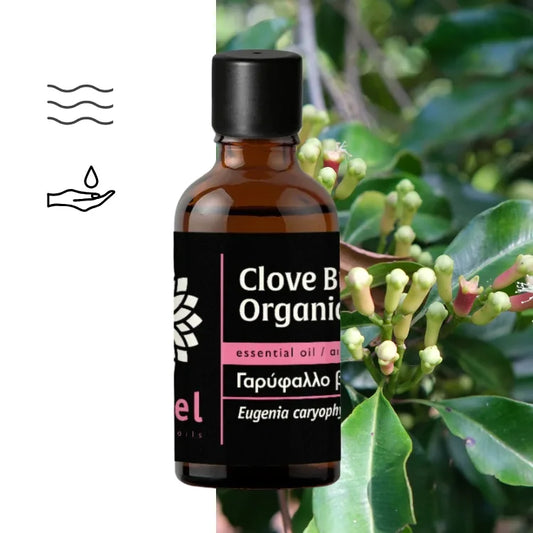 Olejek eteryczny Goździkowy z pąków goździkowca (Clove Bud) organiczny