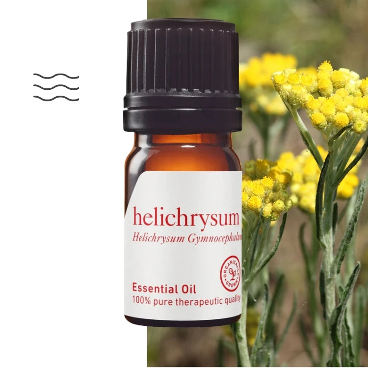 Ätherisches Öl aus Helichrysum gymnocephalum – therapeutische Qualität