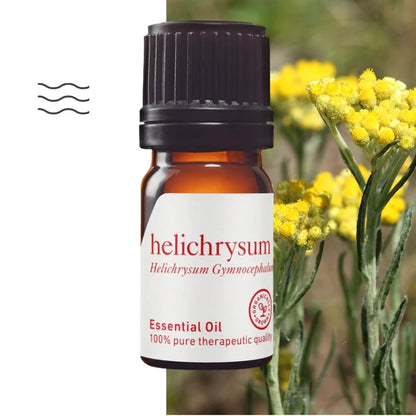Ätherisches Öl aus Helichrysum gymnocephalum – therapeutische Qualität