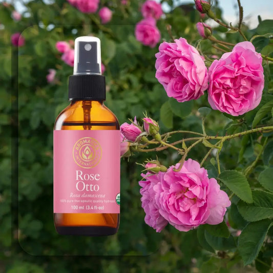 Damaszener-Rosen-Otto-Hydrolat (Rosa damascena) – Bio, therapeutische Qualität