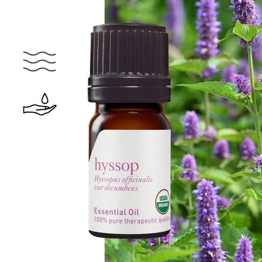 Olejek eteryczny hyzopowy Hyzop ct 1,8-cyneol – terapeutyczna jakość