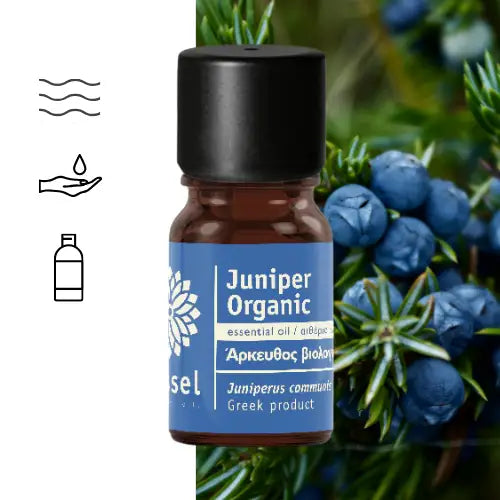 Juniper Berry (Juniperus communis) Essential Oil – Organic
