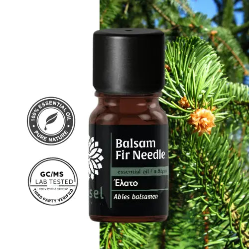 Olejek eteryczny z jodły balsamicznej łączy intensywną świeżość kanadyjskiego lasu z delikatną, balsamiczną miękkością. Aromat jest zielony, żywiczny i lekko cytrusowy, lekki, lotny, intensywnie aromatyczny i szybko rozprzestrzenia się w powietrzu.&nbsp;Odświeża, oczyszcza i aktywizuje – polecany przy zmęczeniu, przeciążeniu oraz potrzebie oczyszczenia atmosfery.

Balsam Fir Needle Essential Oil (Abies balsamea)