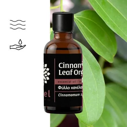 Olejek eteryczny cynamonowy z liścia cynamonowca (Cinnamomum verum) organiczny