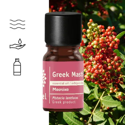 Mastic (Pistacia lentiscus) natural essential oil