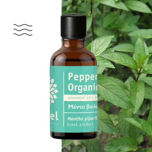 Olejek Eteryczny z Mięty Pieprzowej (Peppermint Organic) organiczny