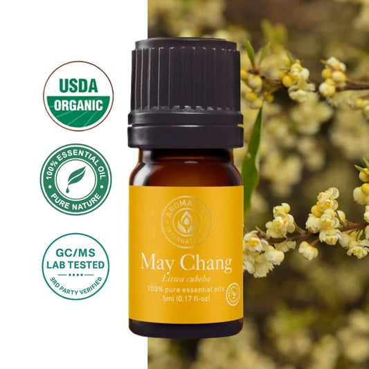 May Chang (Litsea cubeba) Organic Essential Oil olejek eteryczny naturalny najwyszej jakości high quality