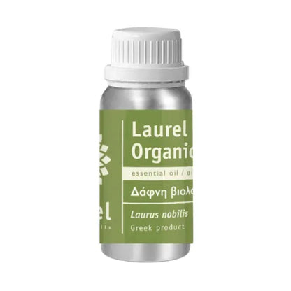 Ätherisches Lorbeeröl – Bio-Lorbeer (Laurus nobilis)