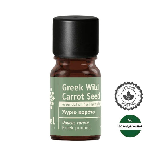 Olejek Eteryczny z nasion Dzikiej Marchwi (Daucus carota) naturalny